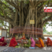 वट सावित्री पूर्णिमा व्रत 2026: अखंड सौभाग्य की कामना, महत्व, शुभ मुहूर्त और संपूर्ण पूजा विधि
