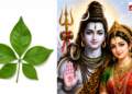 अत्यंत दुर्लभ पंचमुखी बेलपत्र: महत्व, शुभ संकेत और मिलने पर क्या करें