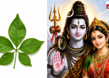 अत्यंत दुर्लभ पंचमुखी बेलपत्र: महत्व, शुभ संकेत और मिलने पर क्या करें