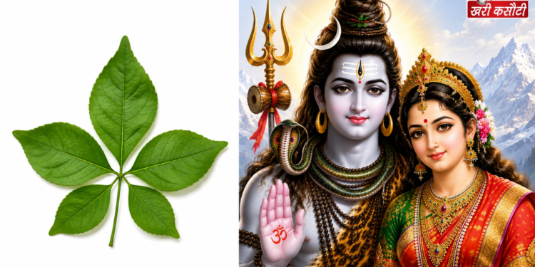 अत्यंत दुर्लभ पंचमुखी बेलपत्र: महत्व, शुभ संकेत और मिलने पर क्या करें