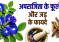 अपराजिता – एक चमत्कारी औषधीय पौधा
