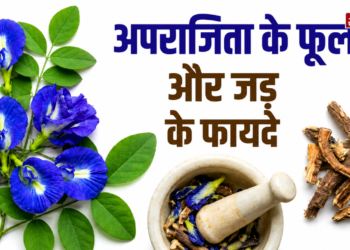 अपराजिता – एक चमत्कारी औषधीय पौधा