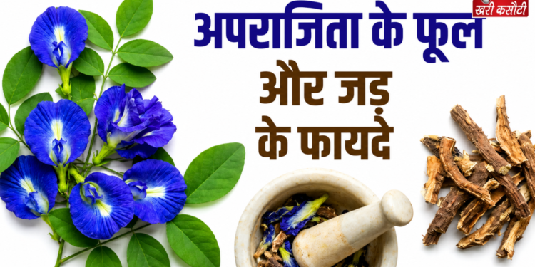 अपराजिता – एक चमत्कारी औषधीय पौधा