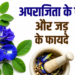 अपराजिता – एक चमत्कारी औषधीय पौधा