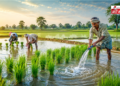 RBI ने Kisan Credit Card योजना में किया अहम बदलाव, India के किसानों को मिलेगी राहत