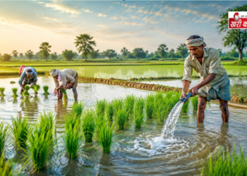 RBI ने Kisan Credit Card योजना में किया अहम बदलाव, India के किसानों को मिलेगी राहत