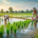 RBI ने Kisan Credit Card योजना में किया अहम बदलाव, India के किसानों को मिलेगी राहत