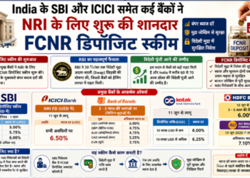 India के SBI और ICICI समेत कई बैंकों ने NRI के लिए शुरू की शानदार FCNR डिपॉजिट स्कीम