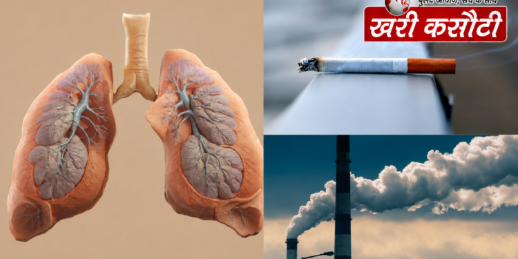 फेफड़ों के लिए क्या है ज्यादा खतरनाक – वायु प्रदूषण या स्मोकिंग?