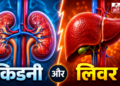 30 की उम्र के बाद लिवर और किडनी को कैसे रखें स्वस्थ? जानें डॉक्टर सलीम ज़ैदी के खास टिप्स