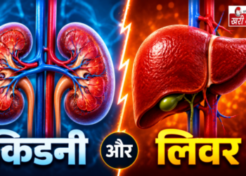 30 की उम्र के बाद लिवर और किडनी को कैसे रखें स्वस्थ? जानें डॉक्टर सलीम ज़ैदी के खास टिप्स