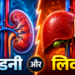 30 की उम्र के बाद लिवर और किडनी को कैसे रखें स्वस्थ? जानें डॉक्टर सलीम ज़ैदी के खास टिप्स