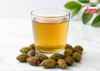 गैस, कब्ज और एसिडिटी का अचूक आयुर्वेदिक इलाज: सुबह खाली पेट पिएं ‘हरीतकी’ का पानी, दूर होंगी पेट की सभी बीमारियां