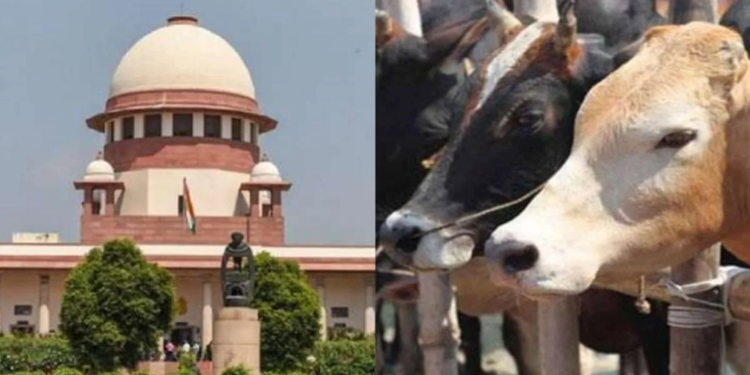Madras High Court के गोवध फैसले पर विवाद, Supreme Court पहुंची Tamil Nadu सरकार