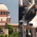Madras High Court के गोवध फैसले पर विवाद, Supreme Court पहुंची Tamil Nadu सरकार