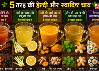 मानसून में वरदान हैं ये 5 हर्बल टी: सेहत और इम्युनिटी के लिए विस्तृत गाइड