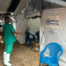 Ebola Virus Outbreak: DRC में 2,000 से ज्यादा लोगों की मौत से संकट गहराया