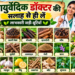 गले के इंफेक्शन और खांसी से पाएं राहत: जानिए आयुर्वेद के प्रभावी नुस्खे और आसान घरेलू उपाय
