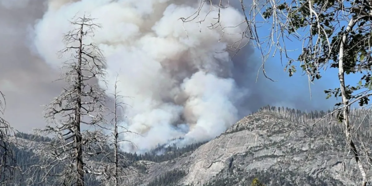 Yosemite की डोम फायर में बड़ा हादसा, दो पायलटों की मौत