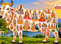 पितृ पक्ष में गोदान क्यों माना जाता है बेहद पुण्यकारी, जानिए विधि, महत्व और धार्मिक मान्यताएं