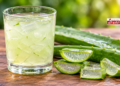 पेट की गैस, दर्द और मोटापे से राहत दिला सकता है Aloe Vera, जानें इस्तेमाल के ये तरीके