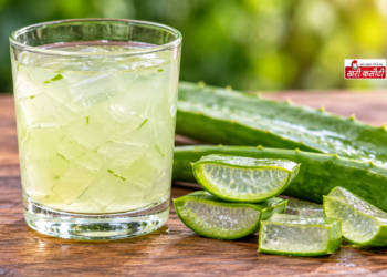 पेट की गैस, दर्द और मोटापे से राहत दिला सकता है Aloe Vera, जानें इस्तेमाल के ये तरीके