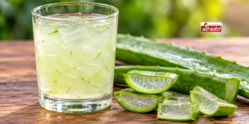 पेट की गैस, दर्द और मोटापे से राहत दिला सकता है Aloe Vera, जानें इस्तेमाल के ये तरीके