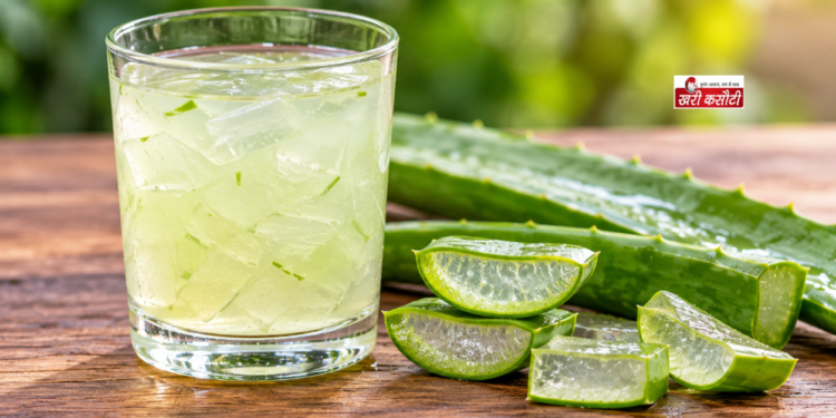 पेट की गैस, दर्द और मोटापे से राहत दिला सकता है Aloe Vera, जानें इस्तेमाल के ये तरीके