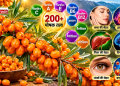 सी बकथॉर्न में 200 से ज्यादा पोषक तत्व, जानें त्वचा, हृदय, लिवर और दिमाग की सेहत के लिए इसके फायदे