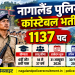 नागालैंड में पुलिस कांस्टेबल के 1137 पदों पर भर्ती, 6वीं और 8वीं पास युवाओं को मौका; जानें आवेदन की तारीख और चयन प्रक्रिया