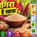 14 दिन तक राजगिरा खाने से शरीर में दिख सकते हैं ये बदलाव, पाचन से लेकर हड्डियों तक के लिए फायदेमंद