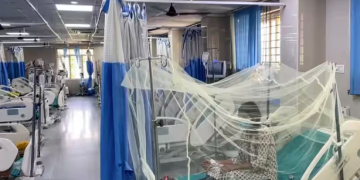 Lucknow में बारिश के बाद डेंगू का प्रकोप तेज, 34 मरीज अस्पतालों में भर्ती; बच्चों को पूरी बाजू के कपड़े पहनाने की सलाह
