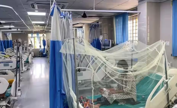 Lucknow में बारिश के बाद डेंगू का प्रकोप तेज, 34 मरीज अस्पतालों में भर्ती; बच्चों को पूरी बाजू के कपड़े पहनाने की सलाह
